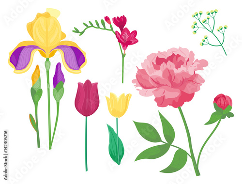Cartoon petal vintage floral vector bouquet garden flower botanical natural p...
