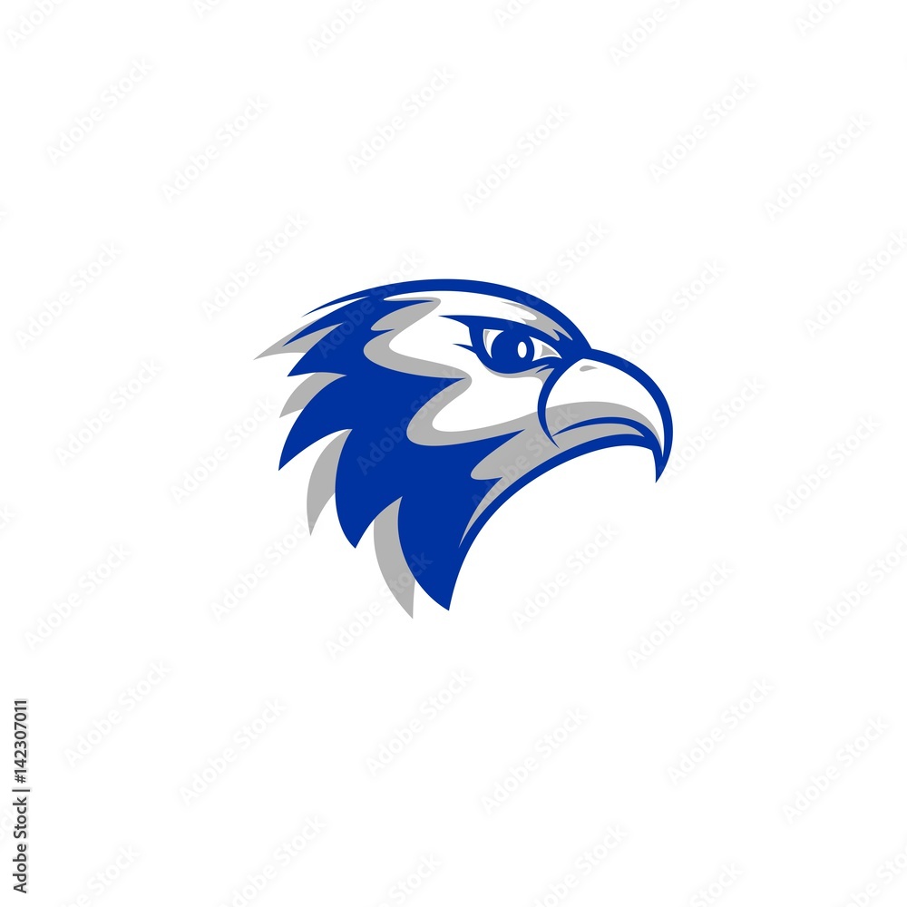 Obraz premium falcon head