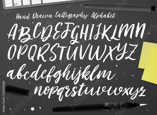 Calligraphic vector script font. Handwritten brush style modern calligraphy cursive typeface. Hand Lettering and Typography alphabet for Designs: Logos, Packaging Design, Poster. Typographic set.