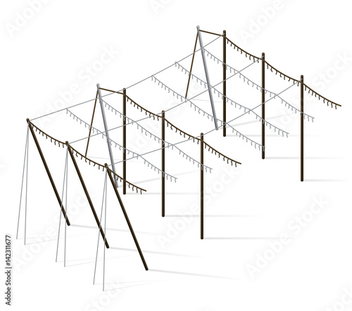 Hopgarden landscape in spring in isometric view. Agriculture landscape with husbandry industry. Construction of beams and wires for growing hops. Hop garden constructions in rows on green farm field.