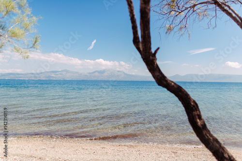 Ausblick in Griechenland auf türkises Meer mit Ast im Vordergrund © Nena
