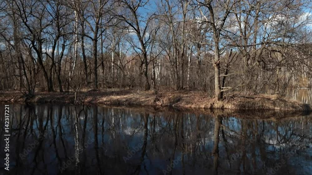 Hight Water in the Forest, Springtime. Hight Water in the Forest, Springtime.