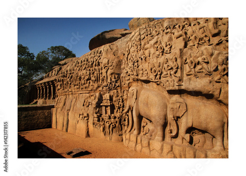 sculptures of elephants in Indian Temple