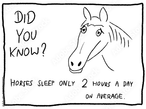 Sleepy horse - trivia random fact