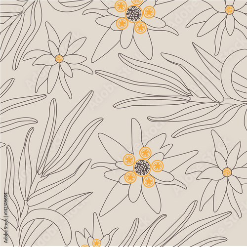 Edelweiss (beige background)