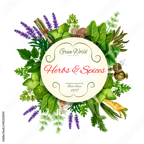 Fresh herbs and spices round label for food design