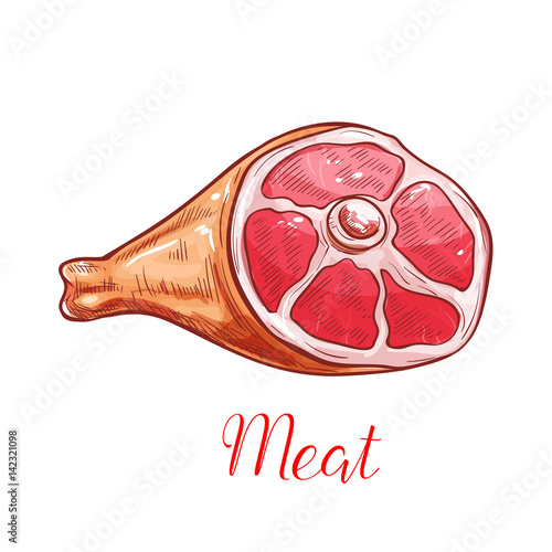 Meat isolated sketch with ham or pork leg