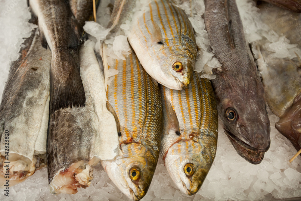 Fresh Sea fish Fresh Sea fish