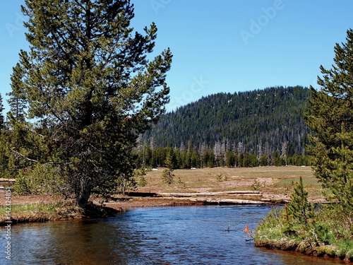 Todd Creek in the spring
