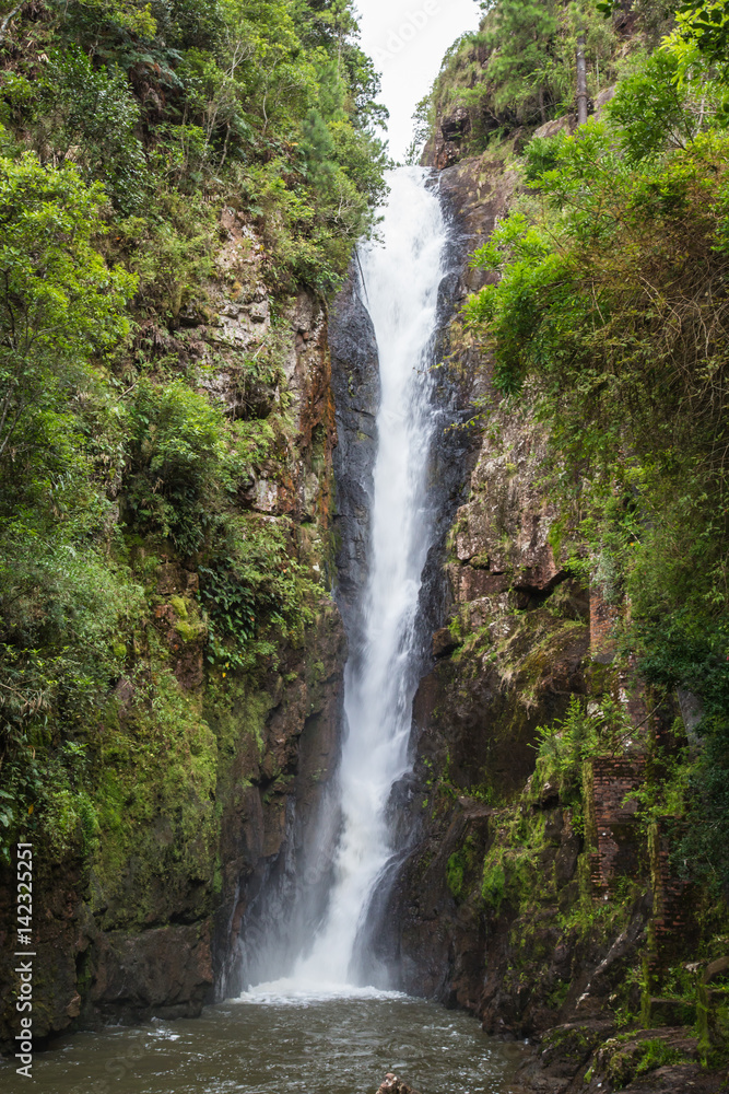 Atlantischer Urwald in Brasilien