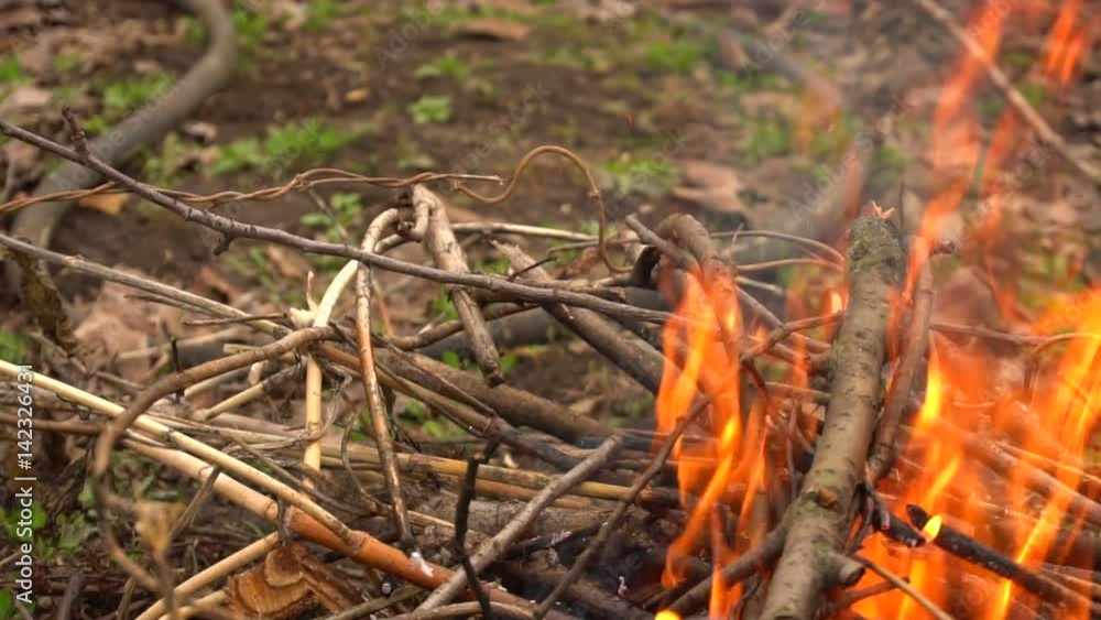 Flames from the campfire. Slow motion Flames from the campfire. Slow motion