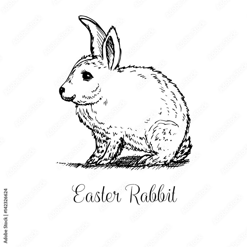 Fototapeta premium Hand drawn easter rabbit.