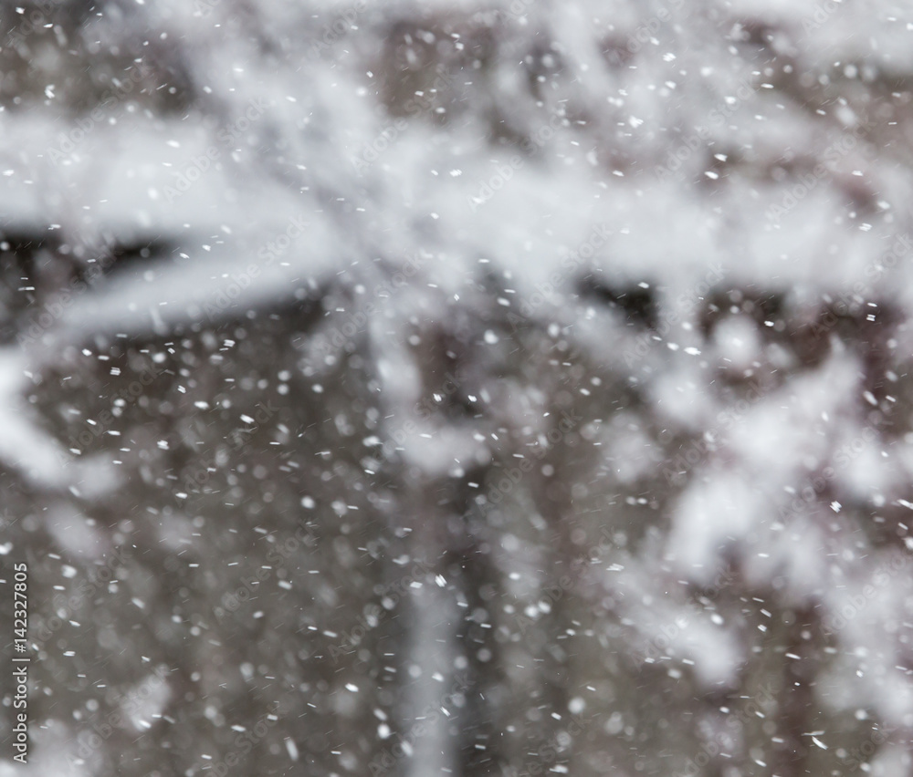 snow in the air as a background snow in the air as a background