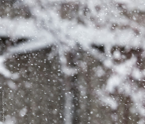 snow in the air as a background