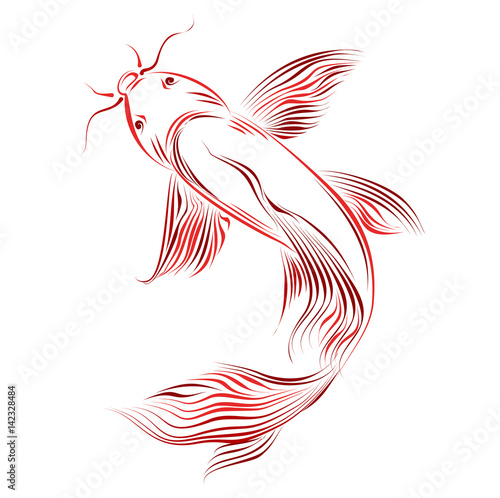 Koi fish (carp koi, goldfish). Hand drawn vector sketch on white background.