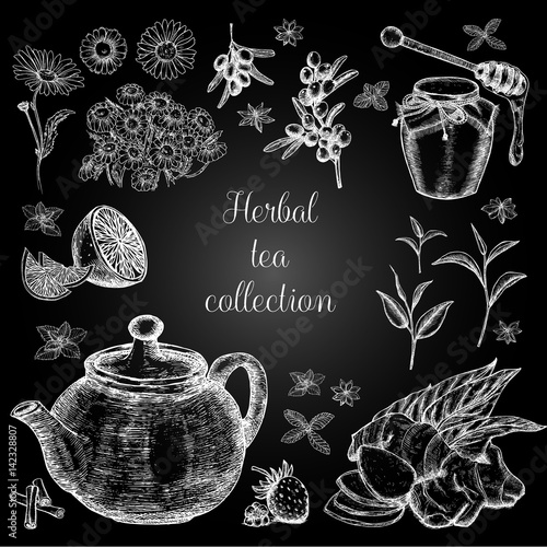 Hand drawn herbal tea collection. Freehand drawing with imitation of chalk sketch.