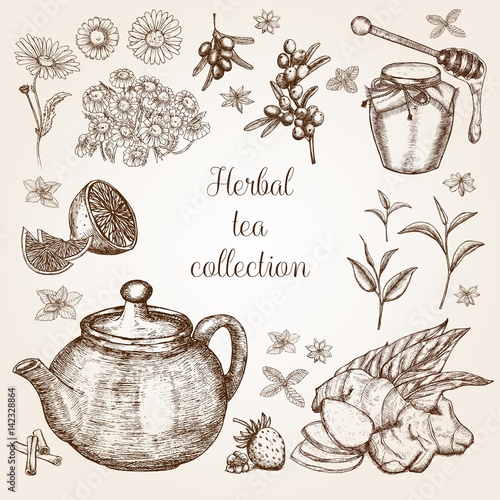 Hand drawn Herbal Tea collection in vintage style.