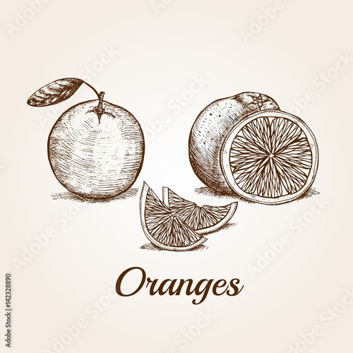 Hand drawn Oranges