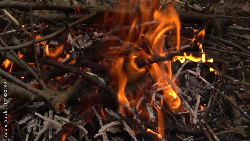 Burning dry branches. Slow shooting of fire Burning dry branches. Slow shooting of fire