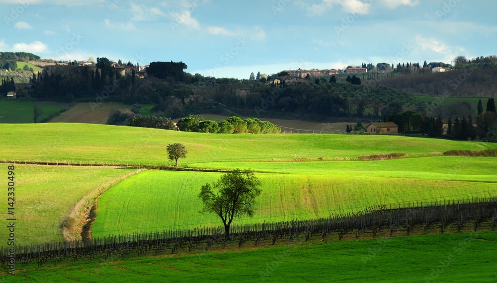 Beautiful Tuscan landscape near Castellina in Chianti, Siena. Italy.