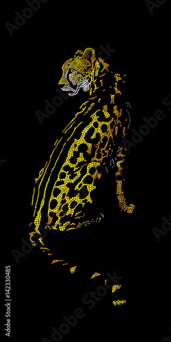 Cheetah