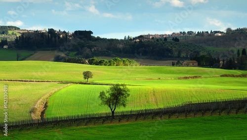 Beautiful Tuscan landscape near Castellina in Chianti  Siena. Italy.