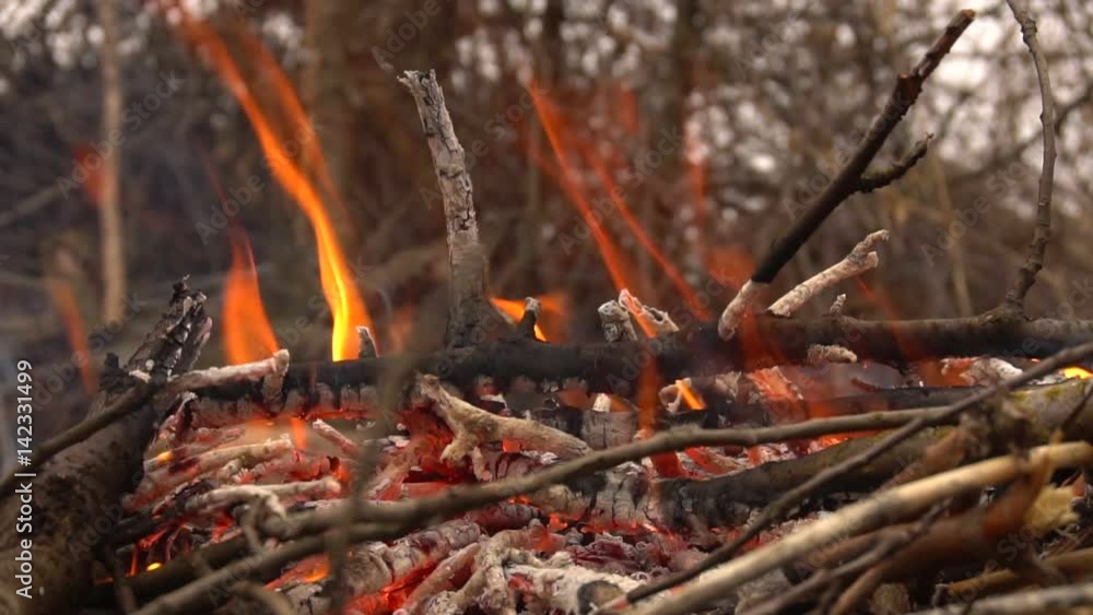 Burning dry branches. Slow shooting of fire Burning dry branches. Slow shooting of fire