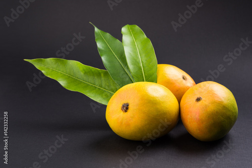 King of fruits; Alphonso yellow Mango fruit duo with stems and green leaf isolated on white background in a cane basket, a product of Konkan from Maharashtra - India photo