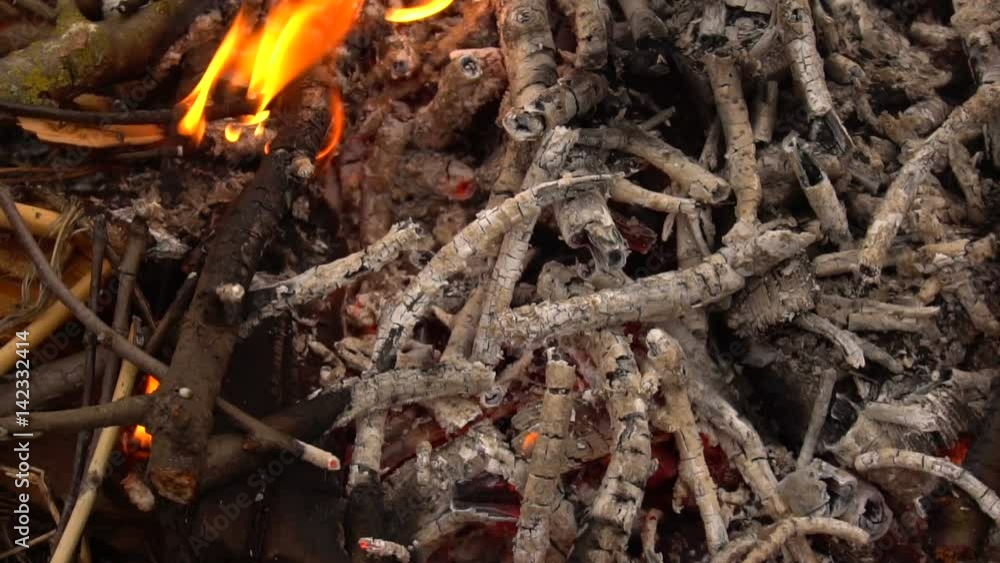 Burning dry branches. Slow shooting of fire Burning dry branches. Slow shooting of fire