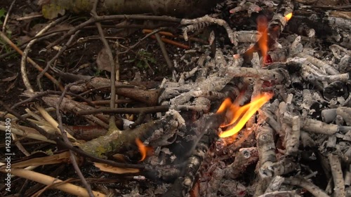 Wallpaper Mural Burning dry branches. Slow shooting of fire Torontodigital.ca