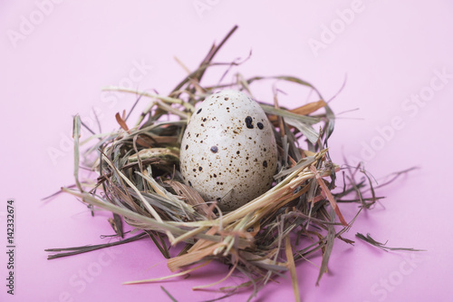 Quail eggs in a nest on a pink background. Easter