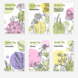 Six package templates for herbal tea or natural cosmetic