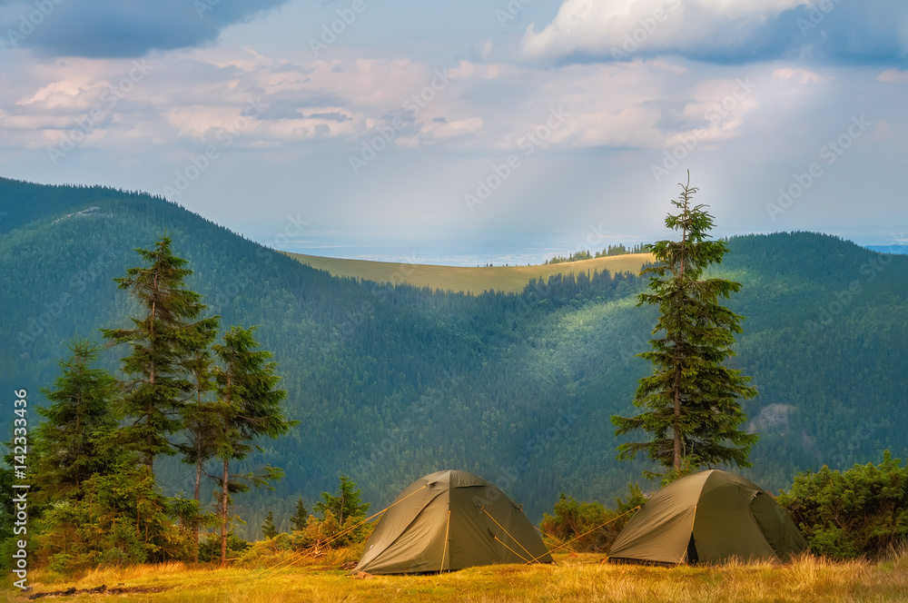 Two tents in a clearing near large fir trees. In the background is a beautiful view of the green mountains covered with forests.
