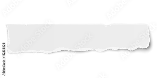 Oblong tattered paper tear isolated on white background