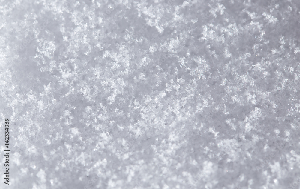 snow as a backdrop. macro snow as a backdrop. macro