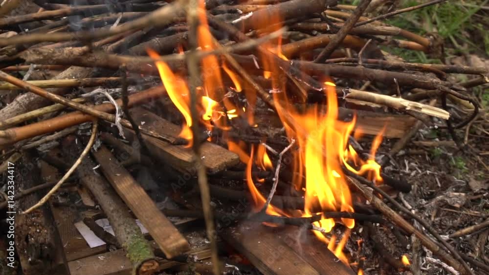 Burning dry branches and firewood. Slow shooting of fire Burning dry branches and firewood. Slow shooting of fire