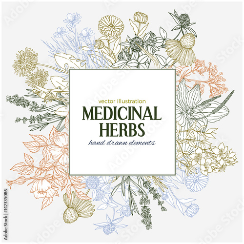 Square text field with hand-drawn colored medicinal herbs and flowers