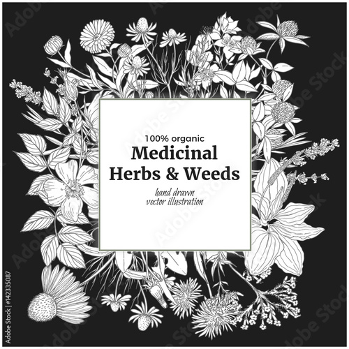 Square banner with medicinal flowers and herbs on the black background