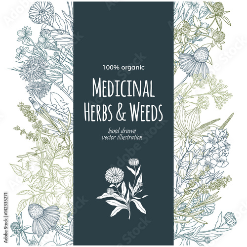 vertical turquoise banner with color medicinal herbs and flowers 