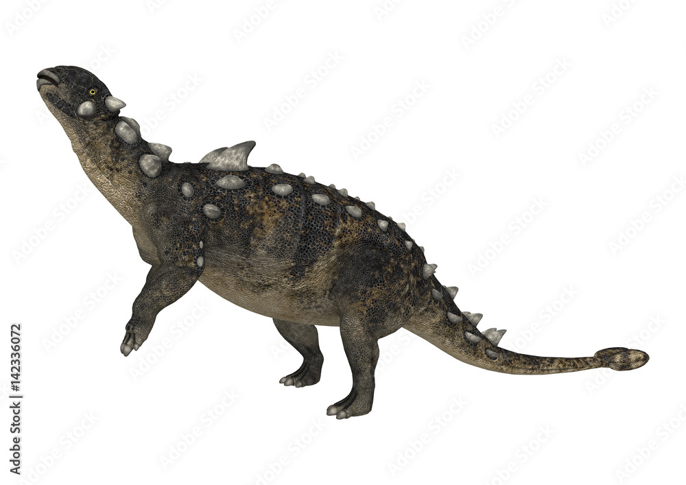 Fototapeta premium 3D Rendering Dinosaur Euoplocephalus on White