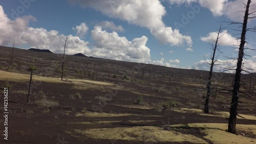 Dead wood - consequence of catastrophic release of ash during eruption of volcano in 1975 Tolbachik north breakthrough stock footage video