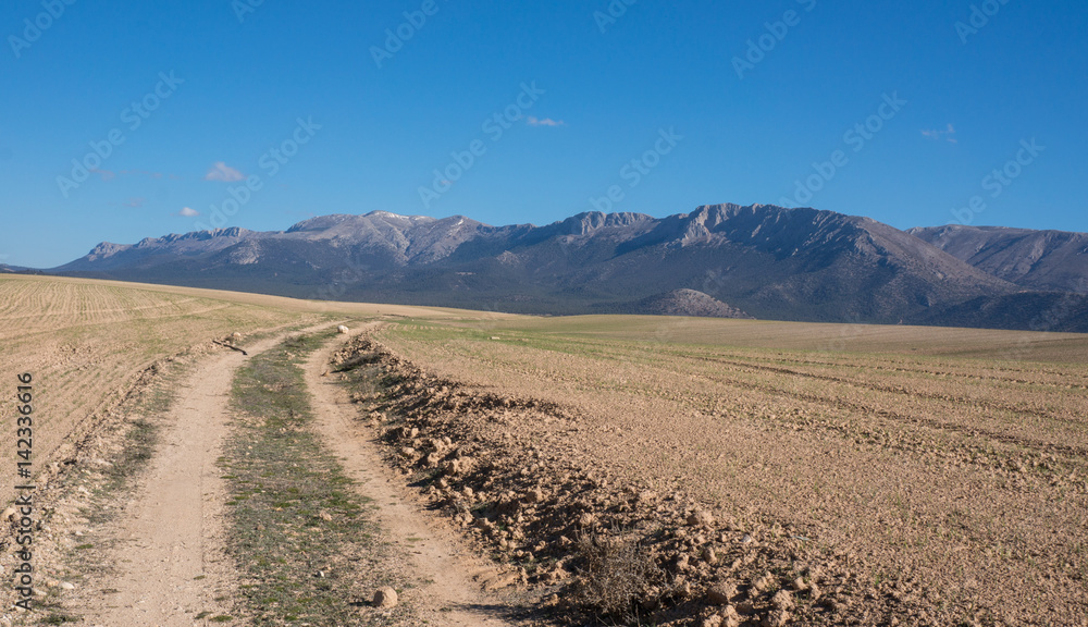 Sandy path leading to the beautiful Sierra de Maria