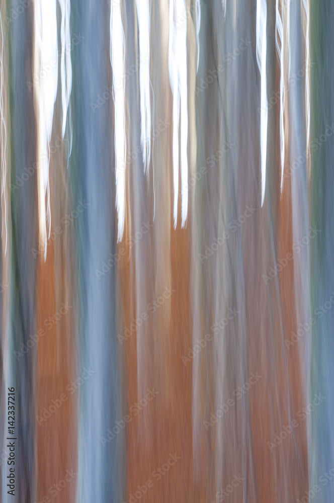 Fototapeta premium Abstract forest