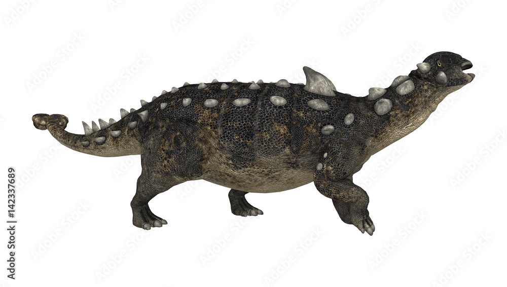 Naklejka premium 3D Rendering Dinosaur Euoplocephalus on White