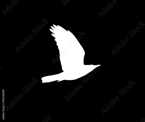 silhouette of a white crow on a black background