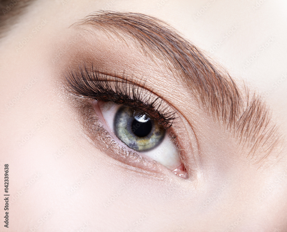 Fototapeta premium Female eye zone and brows with day makeup
