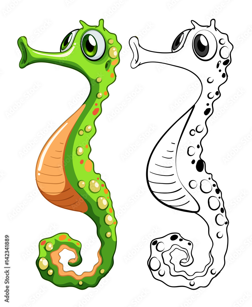 Fototapeta premium Animal outline for seahorse