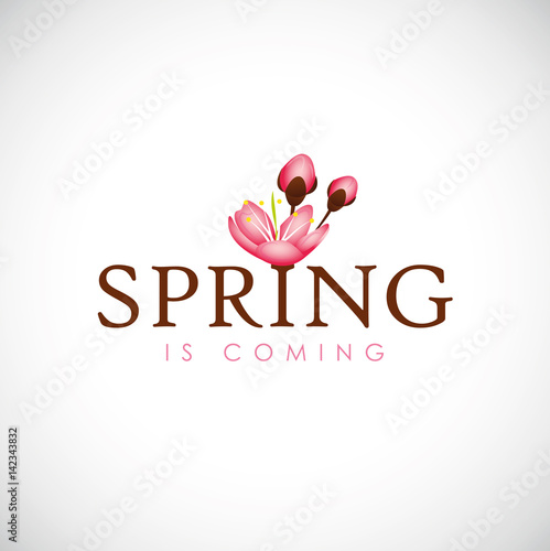 spring is coming kirschblüte