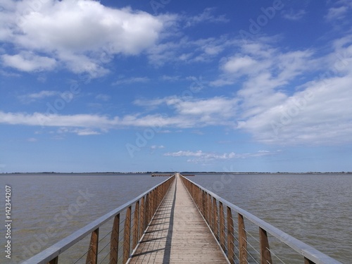 footbridge over the lake