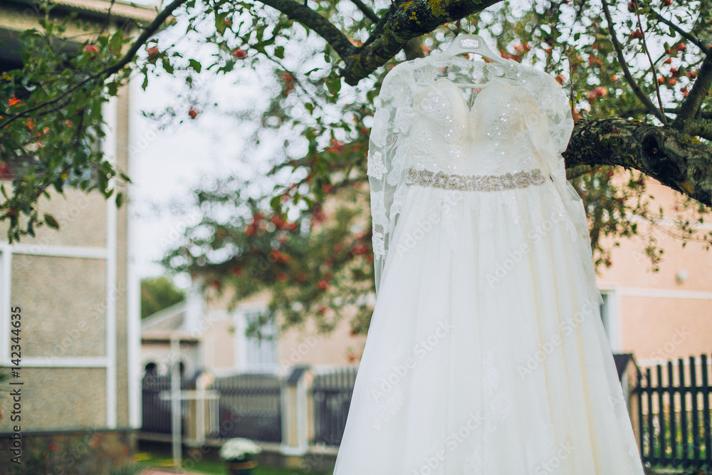 Fototapeta premium Bride in robe near wedding dress on tree outdoor in the garden backyard house.